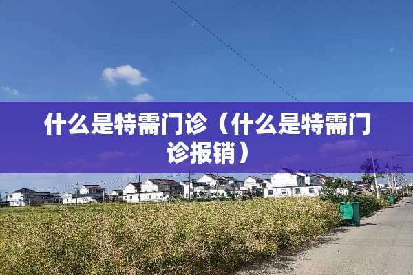 什么是特需门诊（什么是特需门诊报销）
