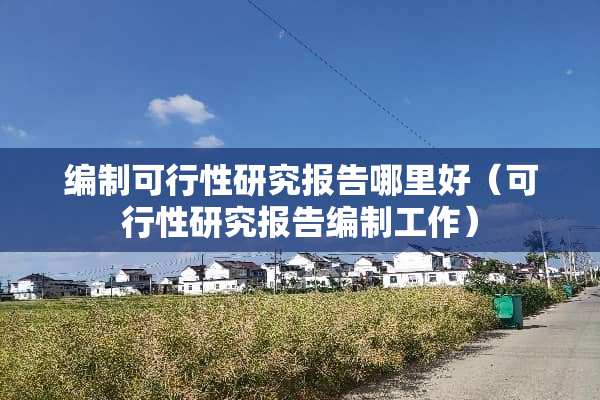 编制可行性研究报告哪里好（可行性研究报告编制工作）