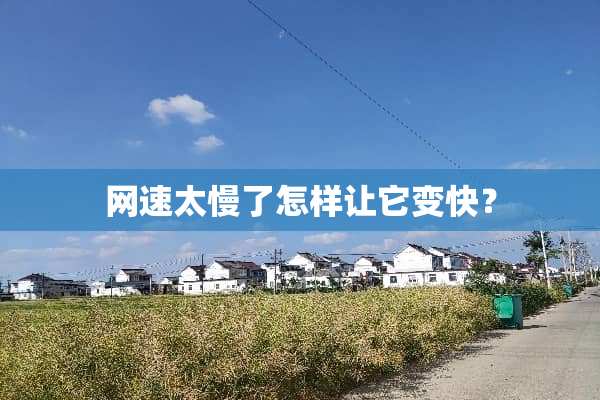 网速太慢了怎样让它变快？