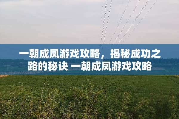 一朝成凤游戏攻略，揭秘成功之路的秘诀 一朝成凤游戏攻略