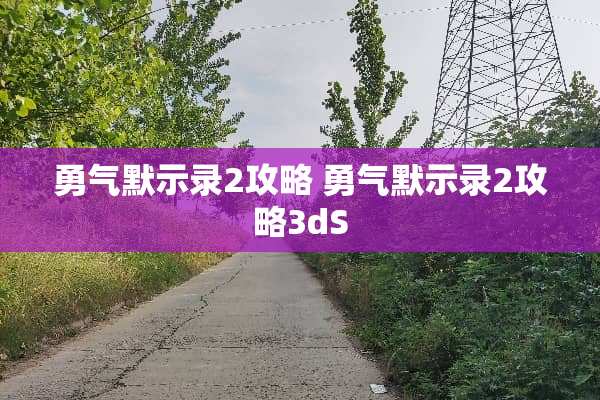 勇气默示录2攻略 勇气默示录2攻略3dS