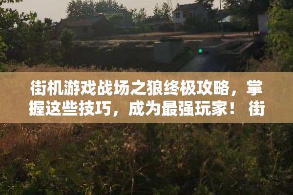 街机游戏战场之狼终极攻略，掌握这些技巧，成为最强玩家！ 街机游戏战场之狼攻略