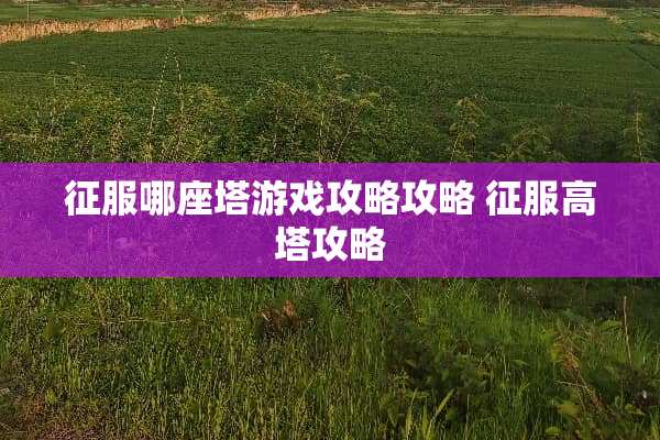 征服哪座塔游戏攻略攻略 征服高塔攻略