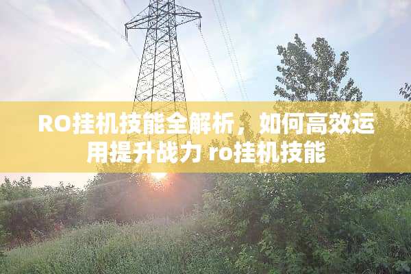 RO挂机技能全解析，如何高效运用提升战力 ro挂机技能