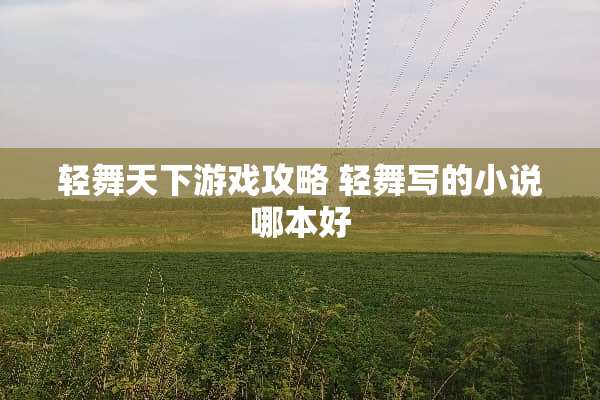 轻舞天下游戏攻略 轻舞写的小说哪本好