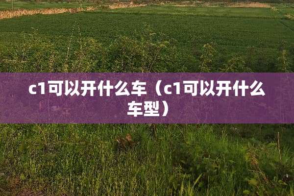 c1可以开什么车（c1可以开什么车型）