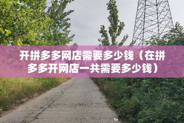 开拼多多网店需要多少钱（在拼多多开网店一共需要多少钱）