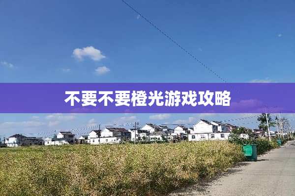 不要不要橙光游戏攻略