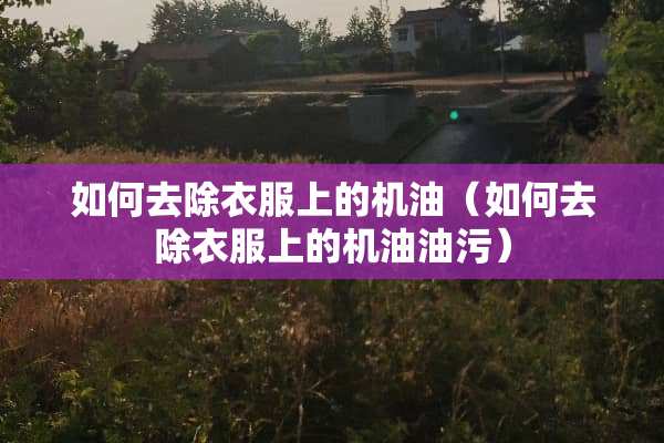 如何去除衣服上的机油（如何去除衣服上的机油油污）