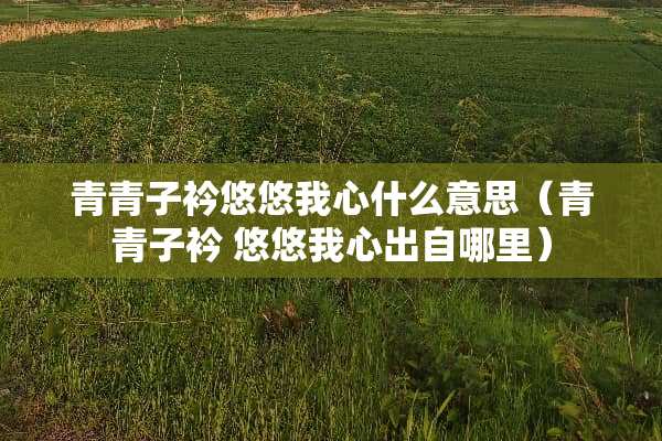 青青子衿悠悠我心什么意思（青青子衿 悠悠我心出自哪里）