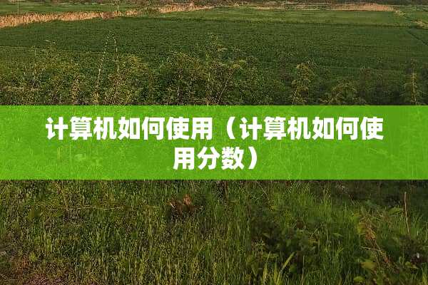计算机如何使用（计算机如何使用分数）