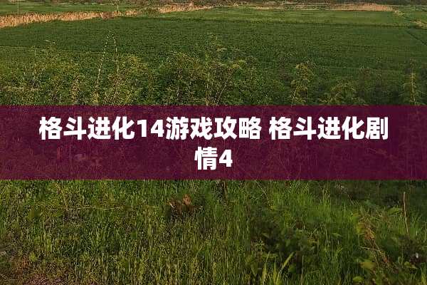 格斗进化14游戏攻略 格斗进化剧情4