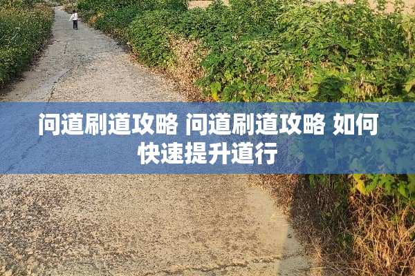 问道刷道攻略 问道刷道攻略 如何快速提升道行
