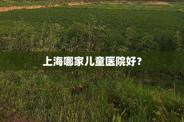 上海哪家儿童医院好？
