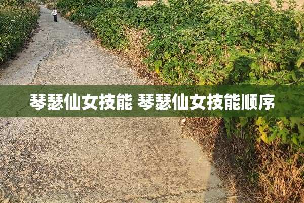 琴瑟仙女技能 琴瑟仙女技能顺序