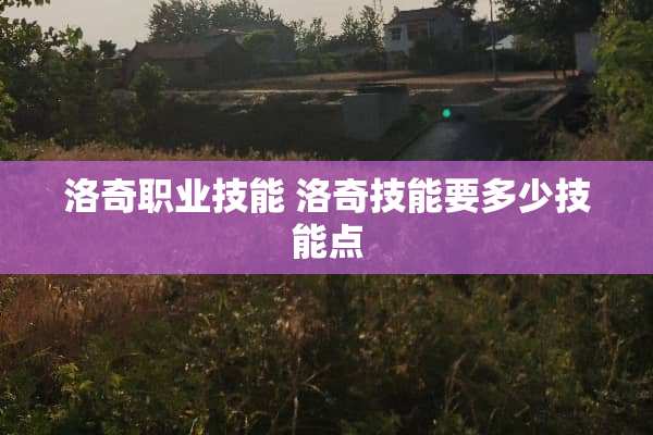洛奇职业技能 洛奇技能要多少技能点
