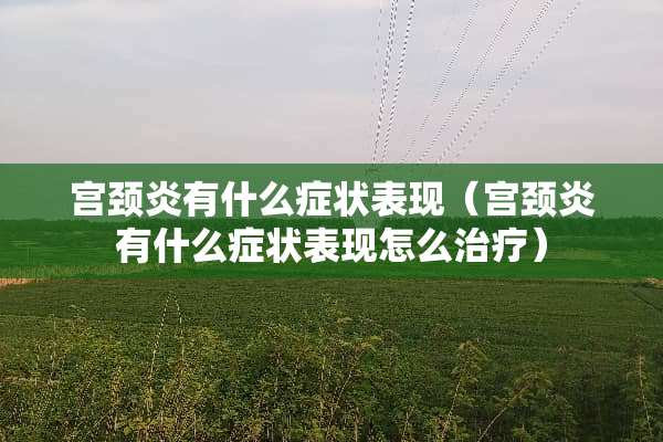 宫颈炎有什么症状表现（宫颈炎有什么症状表现怎么治疗）