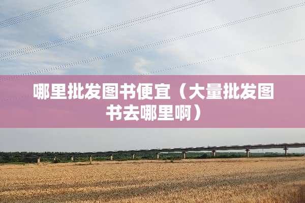 哪里批发图书便宜（大量批发图书去哪里啊）