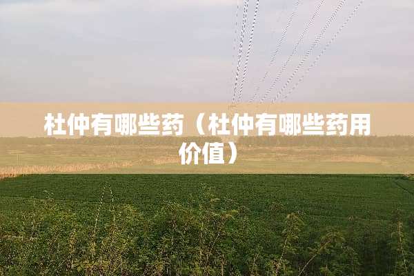 杜仲有哪些药（杜仲有哪些药用价值）