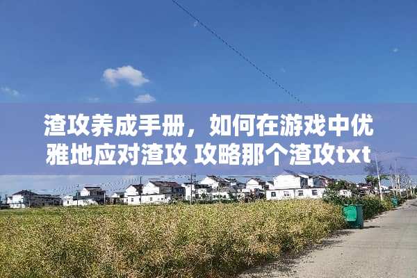 渣攻养成手册，如何在游戏中优雅地应对渣攻 攻略那个渣攻txt