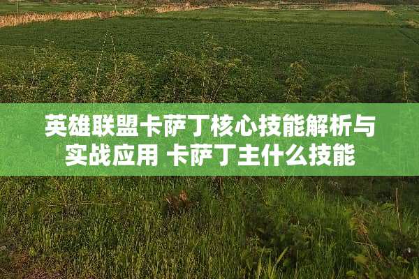 英雄联盟卡萨丁核心技能解析与实战应用 卡萨丁主什么技能