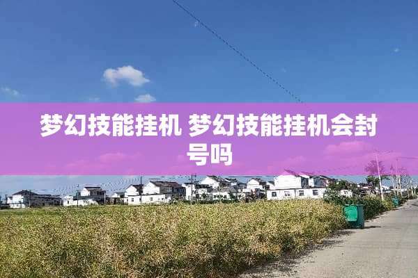 梦幻技能挂机 梦幻技能挂机会封号吗