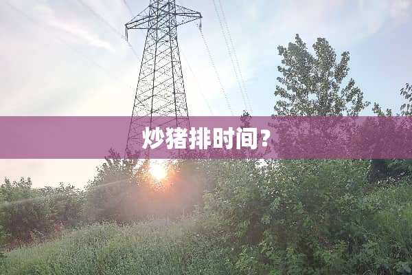 炒猪排时间？