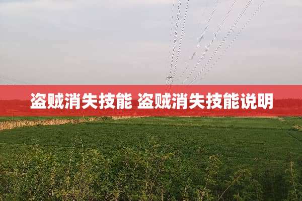 盗贼消失技能 盗贼消失技能说明