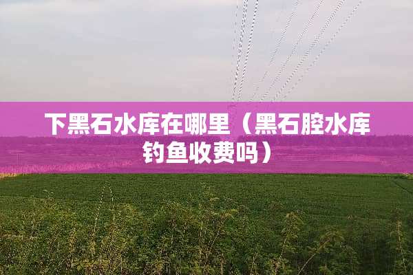 下黑石水库在哪里（黑石腔水库钓鱼收费吗）