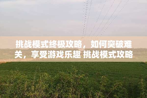 挑战模式终极攻略，如何突破难关，享受游戏乐趣 挑战模式攻略游戏