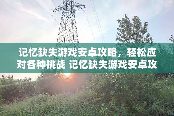 记忆缺失游戏安卓攻略，轻松应对各种挑战 记忆缺失游戏安卓攻略