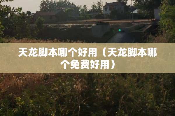 天龙脚本哪个好用（天龙脚本哪个免费好用）