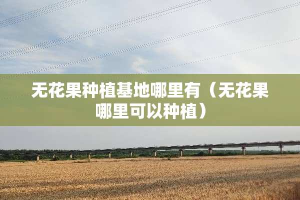 无花果种植基地哪里有（无花果哪里可以种植）