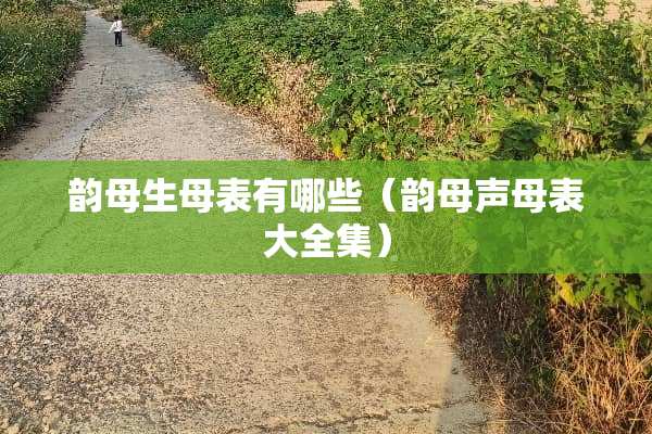 韵母生母表有哪些（韵母声母表大全集）