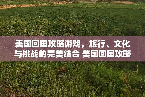 美国回国攻略游戏，旅行、文化与挑战的完美结合 美国回国攻略游戏