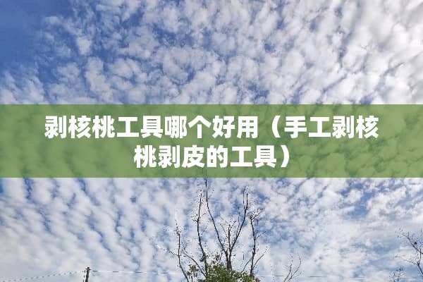 剥核桃工具哪个好用（手工剥核桃剥皮的工具）
