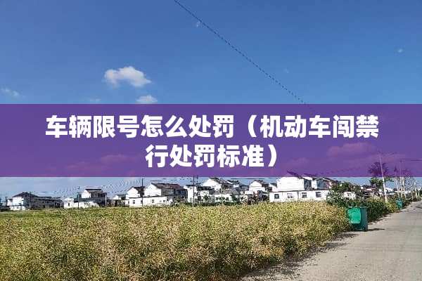 车辆限号怎么处罚（机动车闯禁行处罚标准）