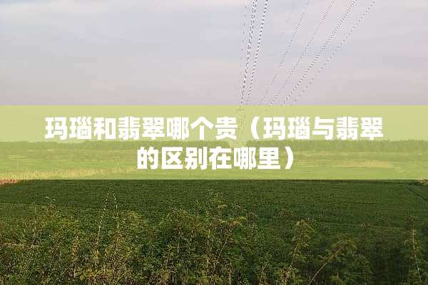 玛瑙和翡翠哪个贵（玛瑙与翡翠的区别在哪里）