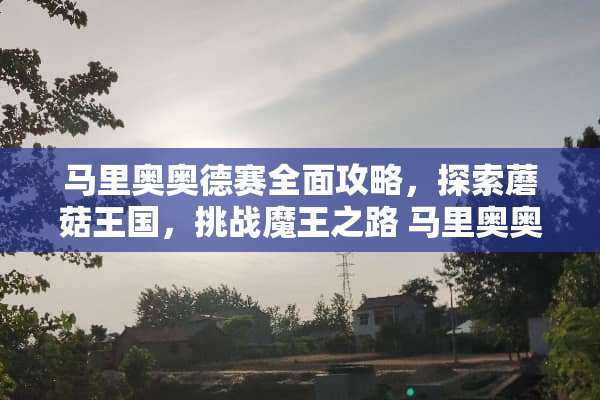 马里奥奥德赛全面攻略，探索蘑菇王国，挑战魔王之路 马里奥奥德赛攻略游戏