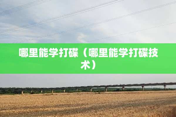 哪里能学打碟（哪里能学打碟技术）