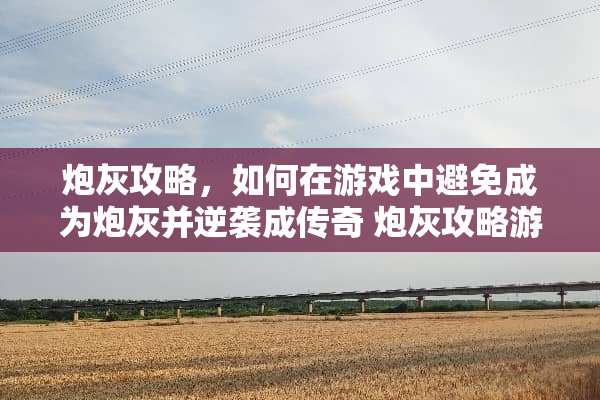 *灰攻略，如何在游戏中避免成为*灰并逆袭成传奇*灰攻略游戏