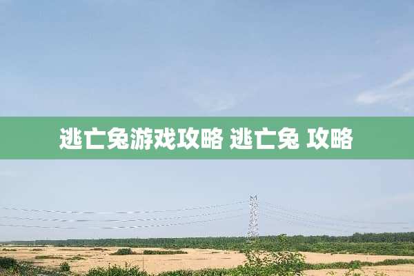 逃亡兔游戏攻略 逃亡兔 攻略