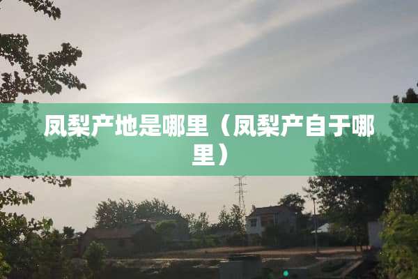 凤梨产地是哪里（凤梨产自于哪里）