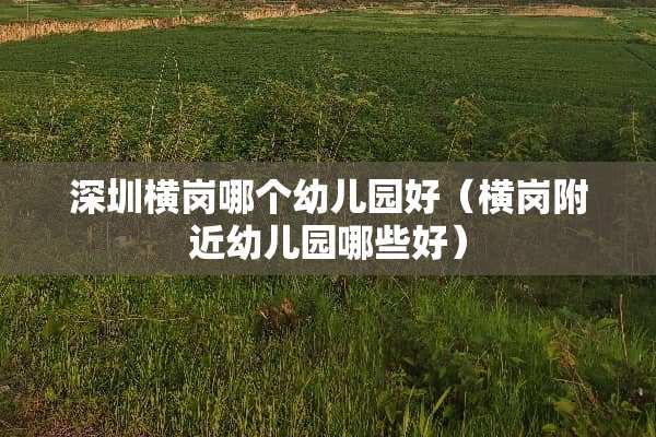 深圳横岗哪个幼儿园好（横岗附近幼儿园哪些好）