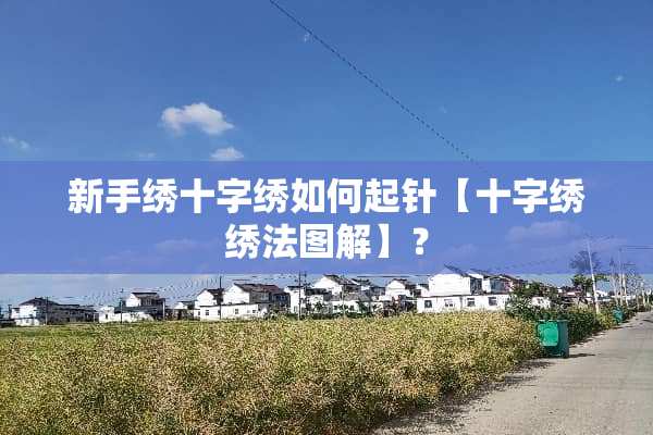 新手绣十字绣如何起针【十字绣绣法图解】？