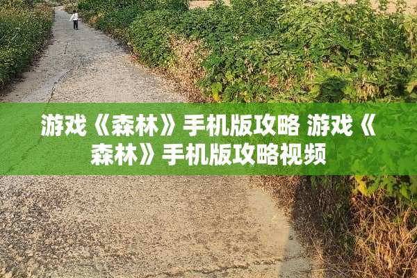 游戏《森林》手机版攻略 游戏《森林》手机版攻略视频