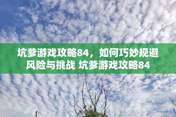 坑爹游戏攻略84，如何巧妙规避风险与挑战 坑爹游戏攻略84