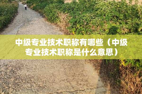 中级专业技术职称有哪些（中级专业技术职称是什么意思）