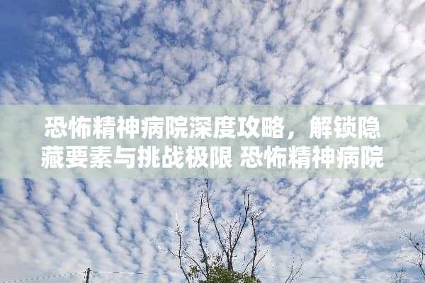 恐怖精神病院深度攻略，解锁隐藏要素与挑战极限 恐怖精神病院攻略游戏