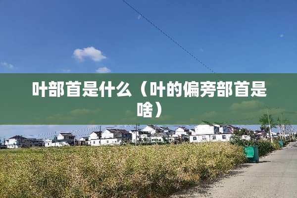 叶部首是什么（叶的偏旁部首是啥）